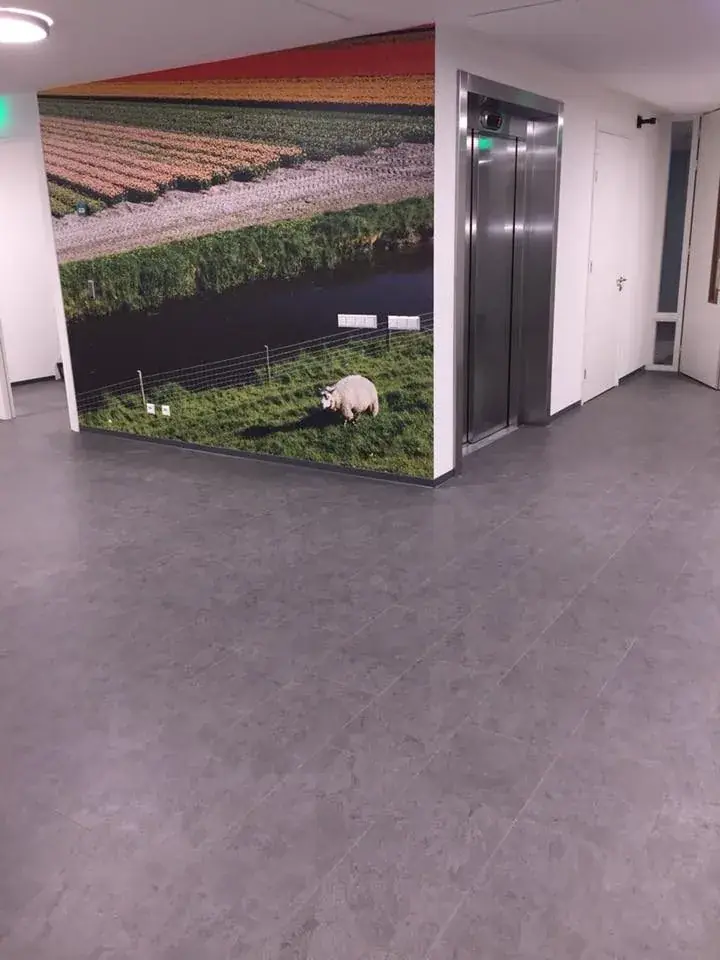 Project Sint Pancras — Molenhoeven — foto 11
